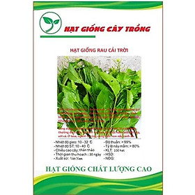 Hạt giống rau cải trời (cải hoang) CT63 - Gói 100 hạt