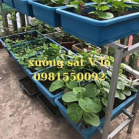 Mua kệ v lỗ trồng rau ( sắt V4x4cm)  rộng 67cm x dài 1.3m  x ( chiều cao 1m 1.2m 1.5m ) nhiều tầng