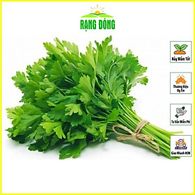 Hạt giống Rau Cần Tây Thera Chịu Nhiệt, Sinh Trưởng Tốt (gói 5 gram) - Hạt Giống Rạng Đông