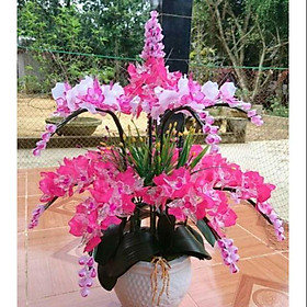 Mua Nguyên liệu chậu hoa đá pha lê( k chậu)