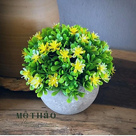Mua (Ảnh thật chụp tại shop) Chậu Hoa Giả Chất Liệu Lụa Cao Cấp Trang Trí Nhà Cửa Của Mê Thảo Flower