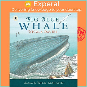 Hình ảnh Sách - Big Blue Whale by Nick Maland (UK edition, paperback)