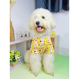 ÁO THỎ DỄ THƯƠNG TỪ 0.5-20KG DÀNH CHO THÚ CƯNG CHÓ MÈO