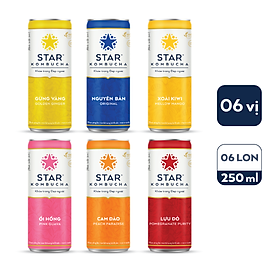 Thùng 12 lon STAR KOMBUCHA All-in-One (250ml/lon)