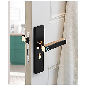 Mua Ultralock P230 Khóa cửa vân tay 2 chức năng Sang trọng Hiện Đại Chất liệu Hợp Kim Nhôm mạ đồng vàng sang trọng
