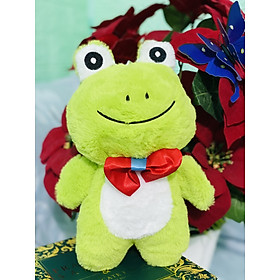 GẤU BÔNG CHÚ ẾCH MÀU XANH