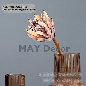 Mua Bình Hoa Thuỷ Tinh Cao Cấp  Lọ Hoa Thuỷ Tinh Decor Trang Trí Nhà Cửa Độc Đáo