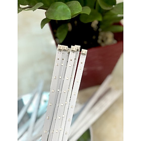 Mua Dây đèn led thay thế đèn bắt muỗi TuLi TL006/TL008/TL010/TL012 tiện lợi chất lượng cao. Gia dụng Tuli