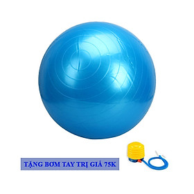 Bóng Tập Yoga Chất Liệu Cao Su Da Trơn DNS009 Chính Hãng Đại Nam Sport + Kèm Bơm Tay Mini
