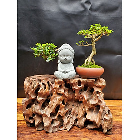 Đế gỗ lũa + Tượng phật + Sam hương 