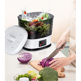 Máy rửa rau quả - Máy sục ozone rửa rau quả - Máy rửa rau quả - Máy rửa rau chất lượng cao khử độc, khủ trùng , khử thuốc sâu và dư lượng hoóc môn