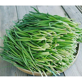 Mua HẠT GIỐNG HẸ TA