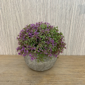 Chậu cỏ giả bonsai mini trang trí - Để bàn