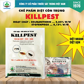 KILLPEST-50GR - DIỆT TRỪ BỌ CHÉT, KIẾN, GIÁN
