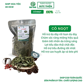 100g Cây Cỏ Ngọt - Cỏ Ngọt Khô Hỗ Trợ Tiểu Đường, Làm Trà Mix Các Vị Thảo Dược