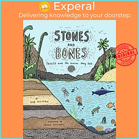 Sách - Stones and Bones - Fossils and the stories they tell by Sophie Williams (UK edition, hardcover)