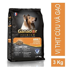 Thức Ăn Hạt Cho Chó Lớn Ganador Lamb & Rice Vị Cừu Và Gạo Gói 3kg