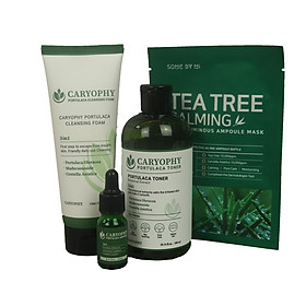 Bộ sản phẩm da mụn Caryophy (Sữa rửa mặt -Toner -Serum) + Tặng mặt nạ Some By Mi