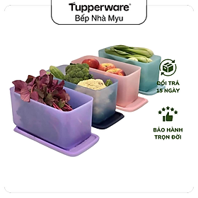 Mua Tupperware Bộ Trữ Mát Funtastic Four (4 hộp size lớn 3.1L) Mẫu Mới