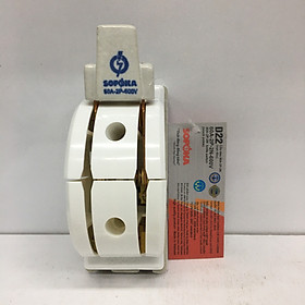 Mua Cầu dao điện 2 pha đảo chiều Sopoka 60A cực đúc
