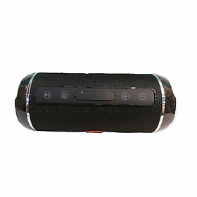 Loa bluetooth tg116 loa kép có khả năng chống nước