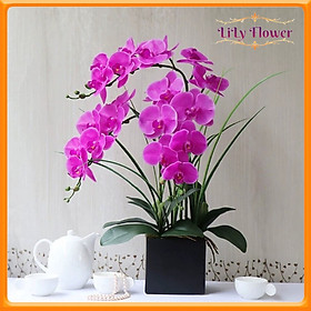 Mua Chậu Hoa Để Bàn Bình Hoa Lan Hồ Điệp Trang Trí Nhà Cửa Văn Phòng Nhà Hàng Khách Sạn DG-180