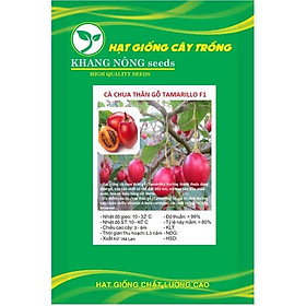 Hạt giống cà chua thân gỗ Tamarillo quả đỏ F1 KNS353 - Gói 10 hạt