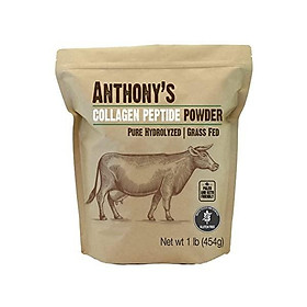 Anthony's Collagen Peptide Powder, 1lb, Pure Hydrolyzed, Gluten Free, Keto and Paleo Friendly, Grass Fed, Unflavored, Non GMO,