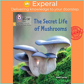 Sách - The Secret Life of Mushrooms - Phase 5 Set 4 Stretch and Challenge by Inbali Iserles (UK edition, paperback)