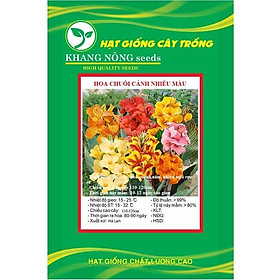 Hạt giống hoa Chuối Cảnh mix màu KNS3729 - Gói 5 hạt