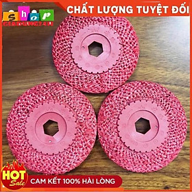 Mua Xơ dừa đỏ đánh bóng inox 100mm