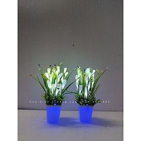 Mua Hoa huệ trang trí bàn thờ có đèn cao 24 cm