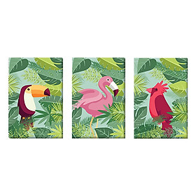 Bộ 3 Tranh Canvas "Nhiệt Đới" W135 (Size