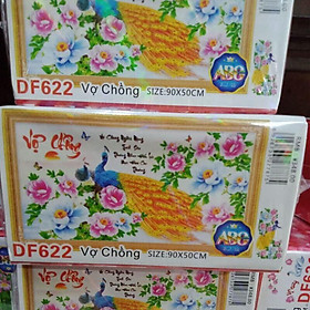 Mua Tranh đính đá Vợ Chồng Df622 (90x50) chưa đính