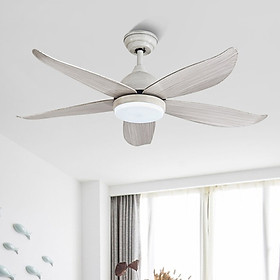 Mua Quạt trần đèn trang trí phòng khách đẹp hiện đại - HLFAN660