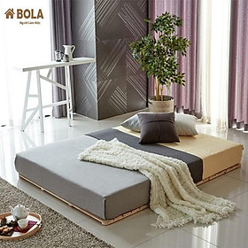 Mua Giường Ngủ Pallet 1m6 Gỗ Thông Gấp Gọn Bola