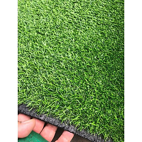 Thảm cỏ nhân tạo trang trí 2cm HCM