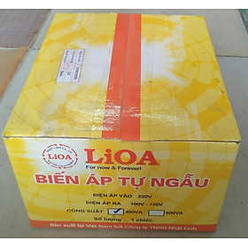 Bộ đổi nguồn 220v sang 100v - 120v lioa 400va