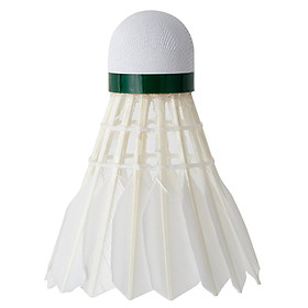 Quả Cầu Lông Agnite F2204 (Ống 12 Quả)
