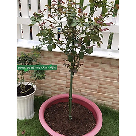 10 ống thép bọc nhựa phi 8 của nhật có nhiều kích thước lựa chọn dùng bền trên 5 năm chuyên dùng làm khung giàn cho cây leo, cắm chống đỡ cây trồng