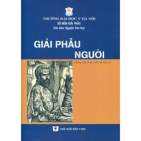 Benito - giải phẫu người