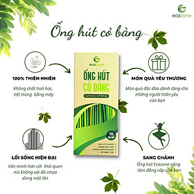 Mua Hộp 100 ống hút size 20cm cỏ bàng khô Ecozone dùng cho trà  nước quả  sinh tố  smothies - hàng XK
