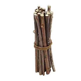 Mua Cây Khô Chụp Ảnh Trang Trí 5 Khúc 10cm-30cm
