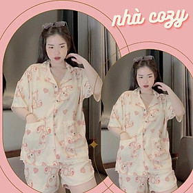  ️ đồ bộ PIJAMA lụa ️ tay ngắn quần ngắn nhiều hình có túi áo