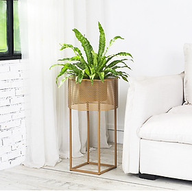 Kệ Chậu Cây Cảnh Kiểu Lưới Hiện Đại DH-BK0015 Bằng Sắt Sơn Tĩnh Điện CHỐNG GỈ CHẮC CHẮN BỀN ĐẸP, Phù Hợp Trang Trí Nhà Cửa, Biệt Thự, Nhà Hàng, Cafe (35x65 cm)