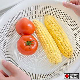 Mua Rổ nhựa dáng oval thương hiệu Sanada Seiko 5.3L - Hàng nội địa Nhật Bản | Made in Japan