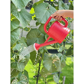 Mua Bình tưới mẫu vòi sen 2 Lít - bình tưới cây-