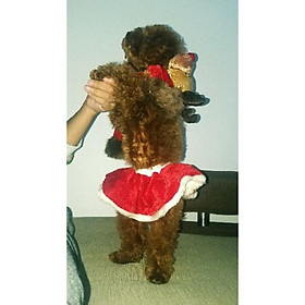 Váy noel vải nhung đỏ cho chó mèo bos siêu kute