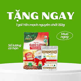 Ngũ Cốc Gạo Lứt No Sugar Xuân An [đường ăn kiêng] Túi 400G {25g*16 gói}(Tặng Kèm 1 Túi Yến Mạch 150G)