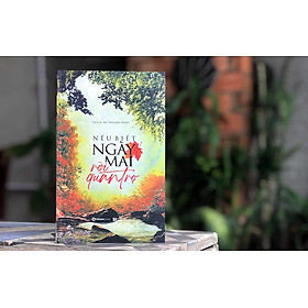 NẾU BIẾT NGÀY MAI RỜI QUÁN TRỌ